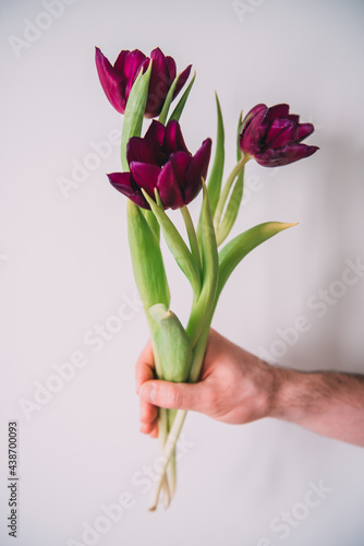 Mockup. White calla and violet tulip Flowers on a white wooden background. Flat lay, spring and summer background with copy space