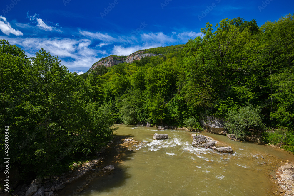 A mountain river runs through a green forest against a bright blue sky