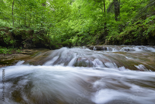 Rapid flow of a mountain river in the middle of a green forest