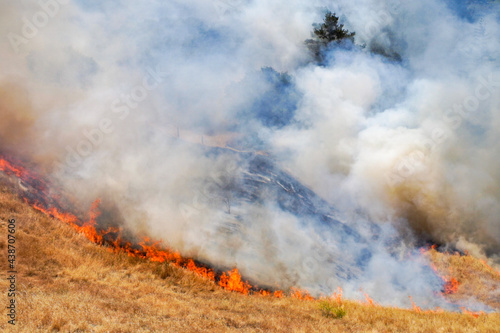 Fire burning in grass in California