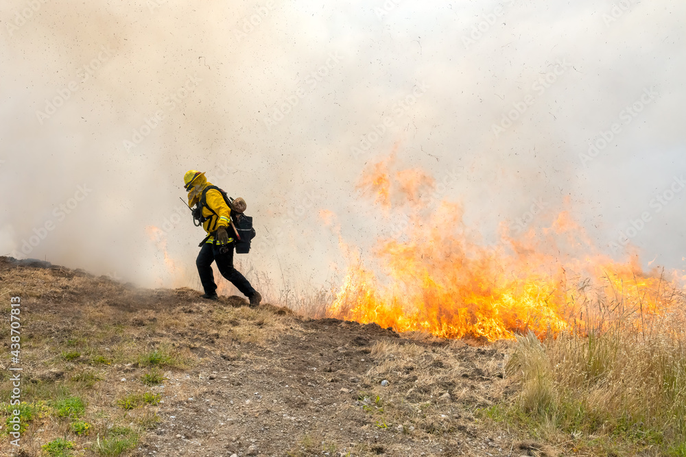 Obraz premium Fire burning in grass in California