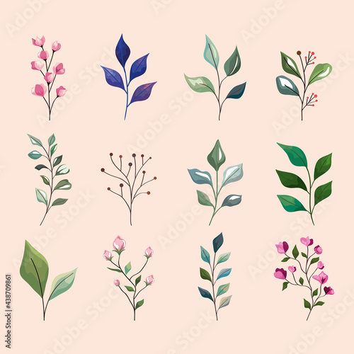 leaves and flowers icon collection