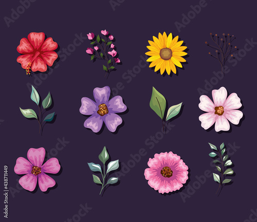 flower and leaves set