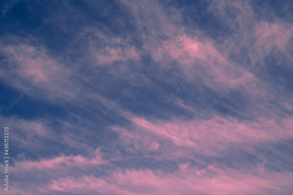 Glowing pink cirrus and cumulus clouds after storm, soft sunlight. Meteorology, heaven, peace, graphic resources
