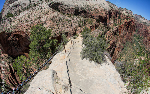 Fotótapéta The treacherous final climb up the steep and scary vertical rise with chains for assistance while hiking up Angels Landing during adventures in Zion National Park, Utah, USA