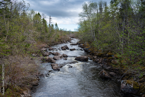 A wide open space overlooking a salmon river. There are tall rich green trees along the riverbank. The blue water is reflective of the clear blue sky. There s a small ripple in the foreground.