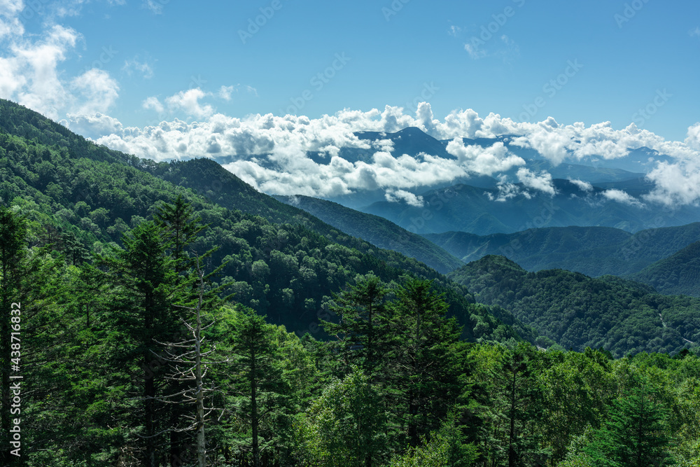 緑の葉が濃い木々と山の頂上を囲む雲