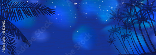 南の島の椰子の木と星空