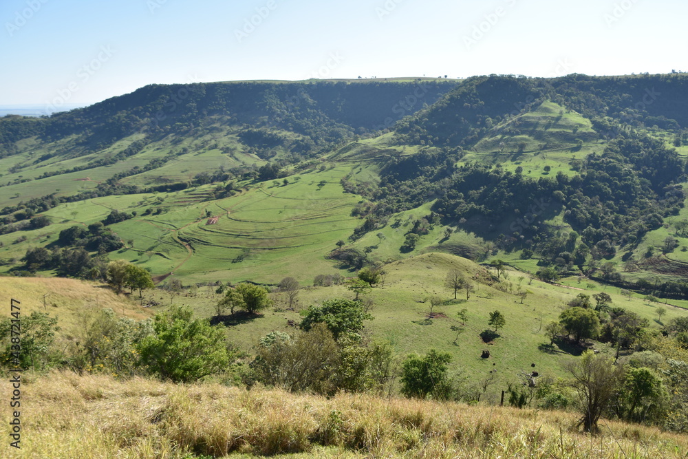 landscape with sunset, lake, trees and much nature