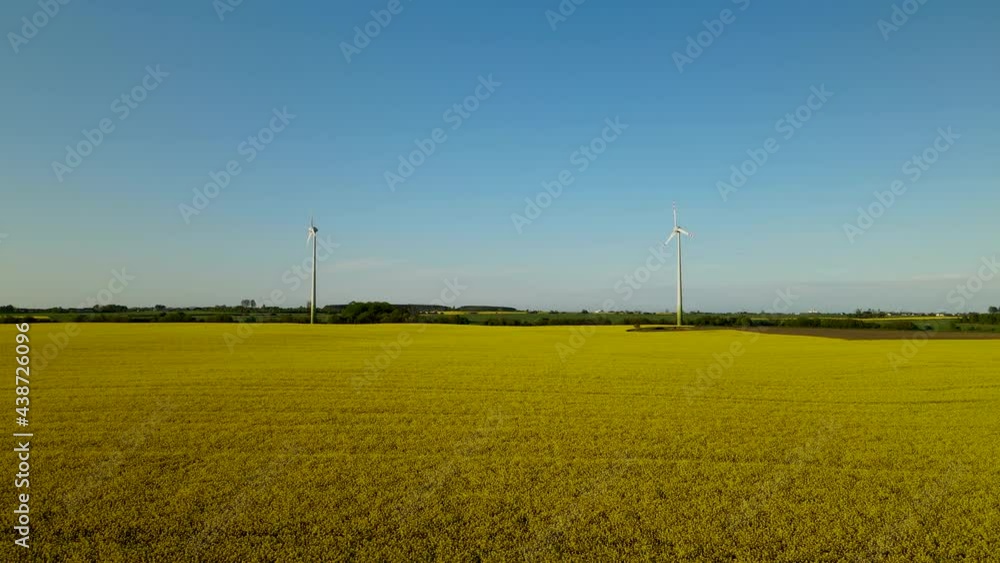 Aerial view of fields of Rape Seed with wind turbines in background - Lebcz Poland - Agriculture and Farming Concepts Aerial view of fields of Rape Seed with wind turbines in background - Lebcz Poland - Agriculture and Farming Concepts