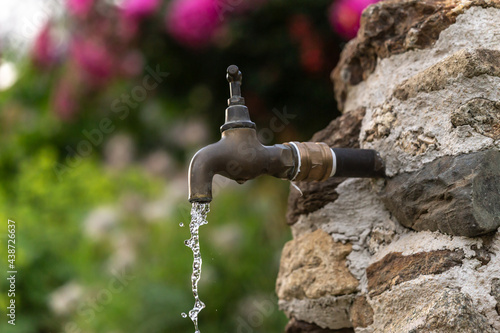 A faucet in a garden with floating water