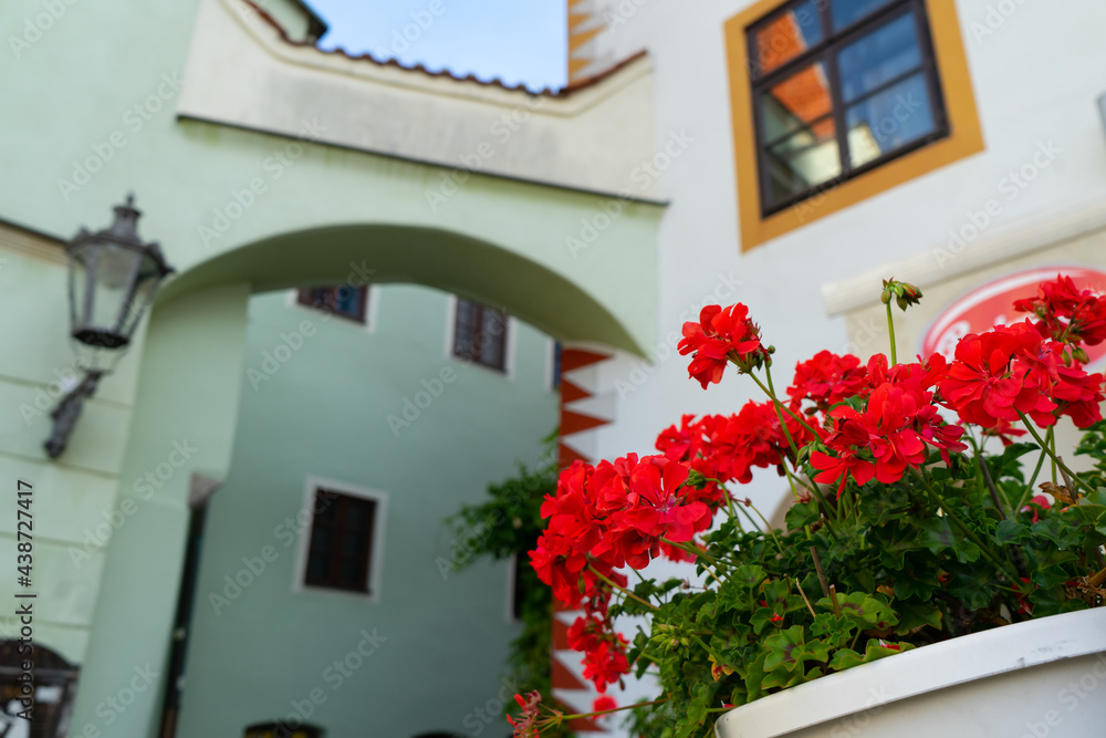 Red geraniums blooming in flower Boxes outside of window  sill of chateau castle courtyard with white and Europian wall building background.