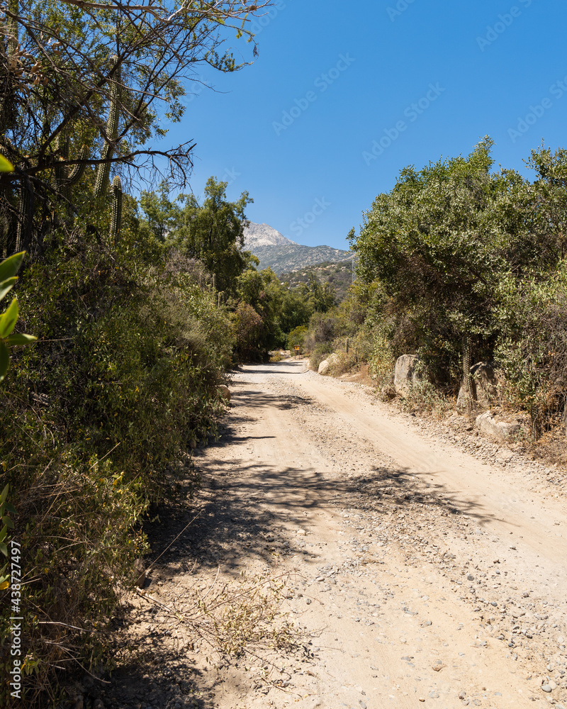View of the entrance to the Rio Clarillo National Park located in Santiago de Chile with trees on the sides and mountains in the background. View of the entrance to the Rio Clarillo National Park located in Santiago de Chile with trees on the sides and mountains in the background.