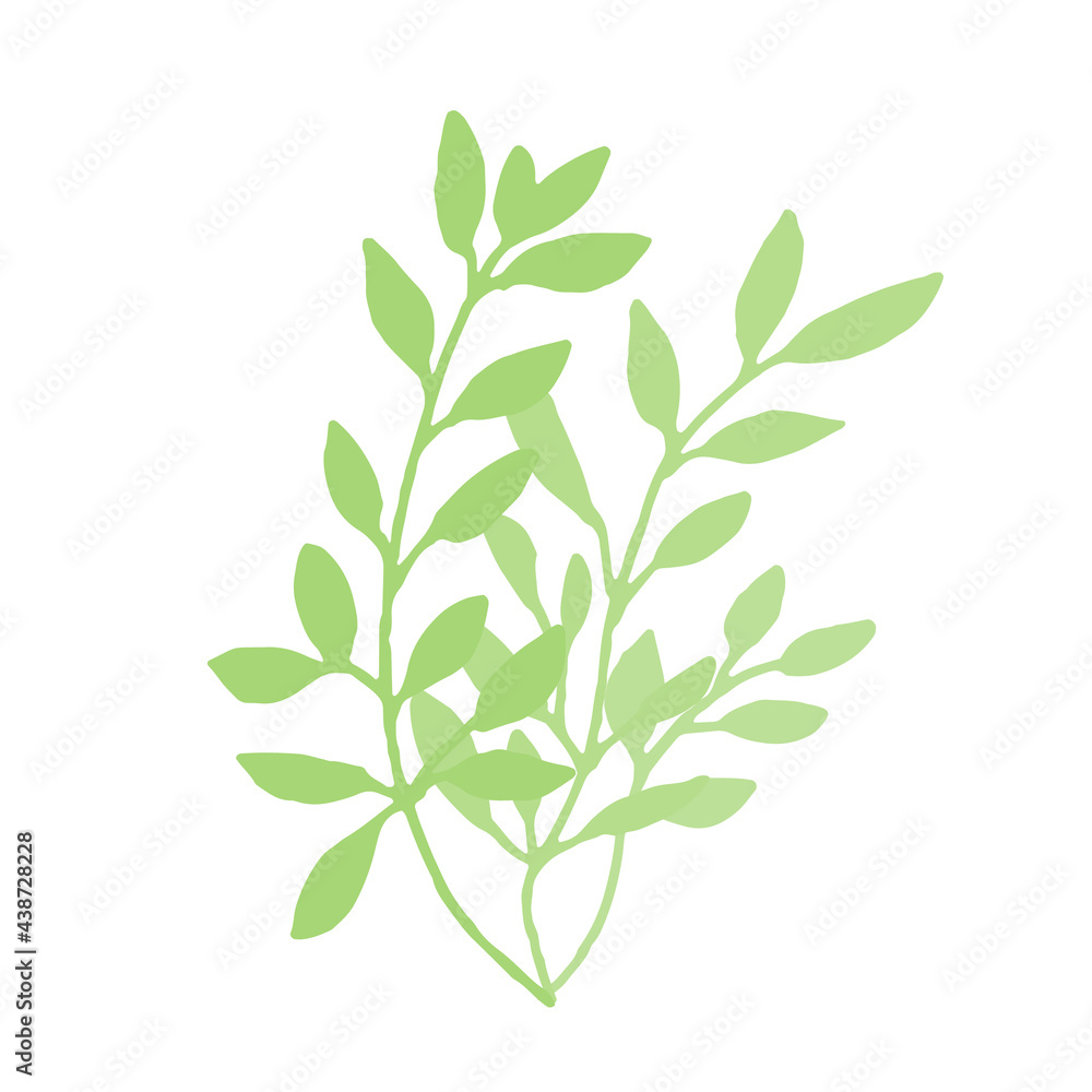 背景白の手描きの草木イラスト Set hand drawn white isolated background. Botanical illustration. Decorative Botanical picture. 背景白の手描きの草木イラスト Set hand drawn white isolated background. Botanical illustration. Decorative Botanical picture.