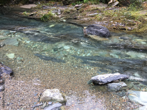 river in the forest © bd-safari