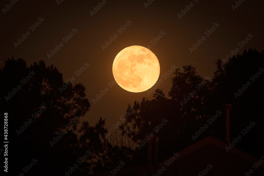 Full moon rising over the neighborhood trees Full moon rising over the neighborhood trees
