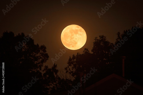 Full moon rising over the neighborhood trees