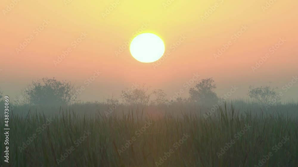 foggy and misty morning sunrise landscape in everglades sawgrass habitat foggy and misty morning sunrise landscape in everglades sawgrass habitat