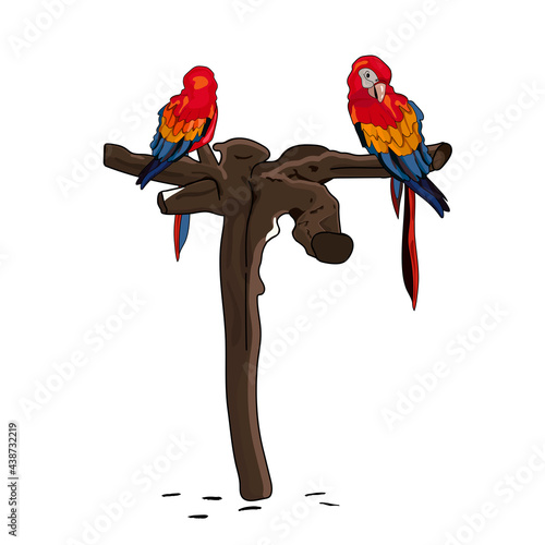 two parrots are sitting on a tree. vector illustration. eps