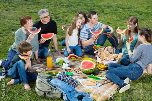 Cheerful positive smiling people of different ages sitting and talking on picnic