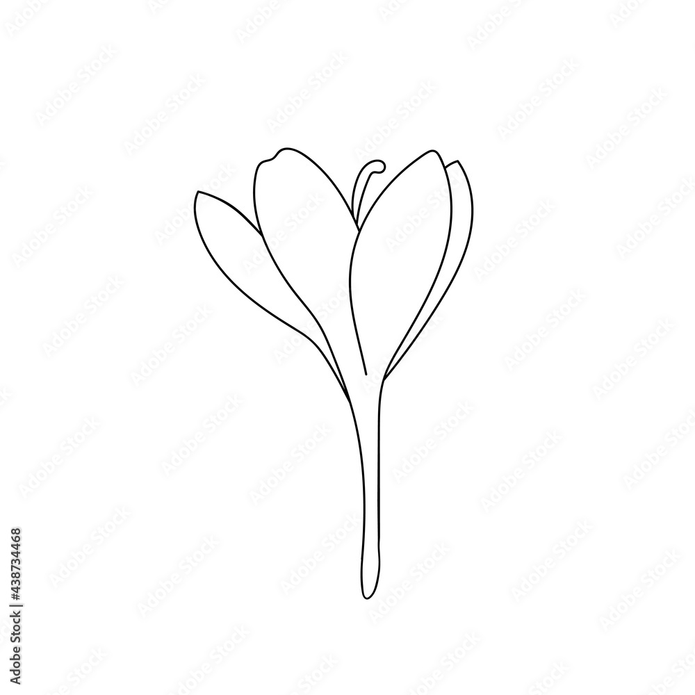 Vector illustration of a single simple crocus saffron flower drawn with a stroke. Botanical illustration vector bud icon Vector illustration of a single simple crocus saffron flower drawn with a stroke. Botanical illustration vector bud icon