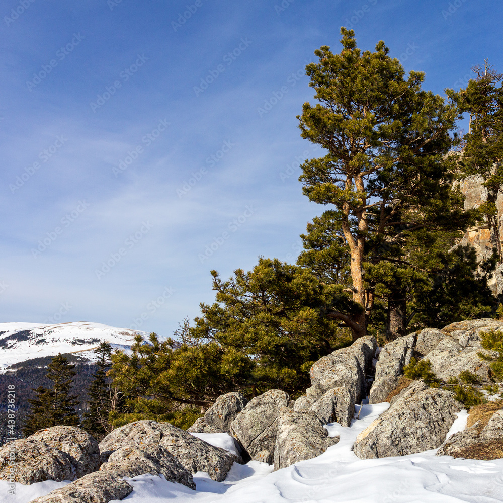 Winter, panoramic views of snow-capped mountains and alpine glades in the bright sun. Winter, panoramic views of snow-capped mountains and alpine glades in the bright sun.