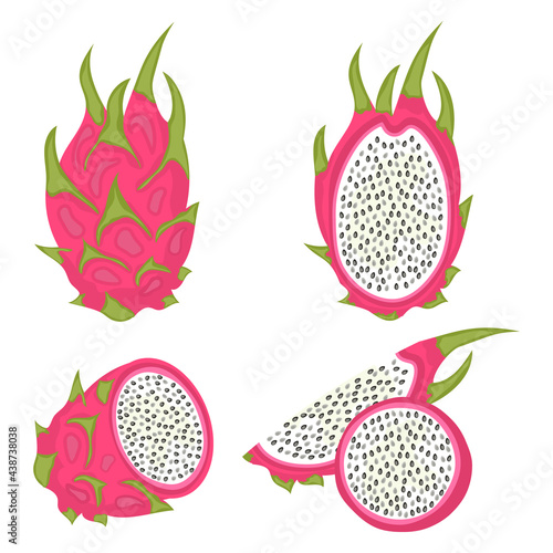 Set of fresh juicy dragon fruits with slices vector illustration