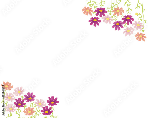 コスモスの花畑のフレームイラスト © zstockill