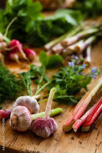 Seasonal vegetables on wooden table  garlic  rhubarb  salad  pink radish. Concept of fresh seasonal organic domestic local products  gardening  healthy lifestyle.
