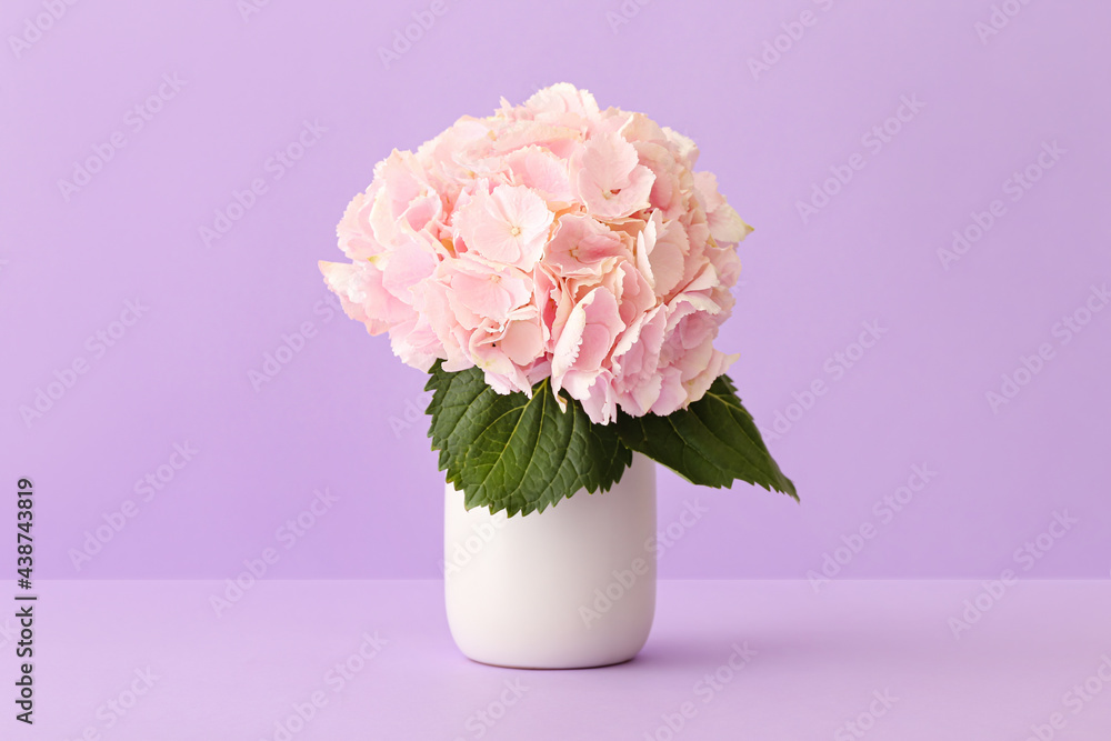 Vase with beautiful hydrangea flowers on color background Vase with beautiful hydrangea flowers on color background