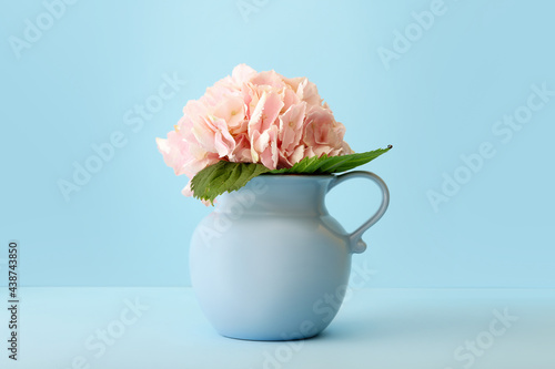 Vase with beautiful hydrangea flowers on color background