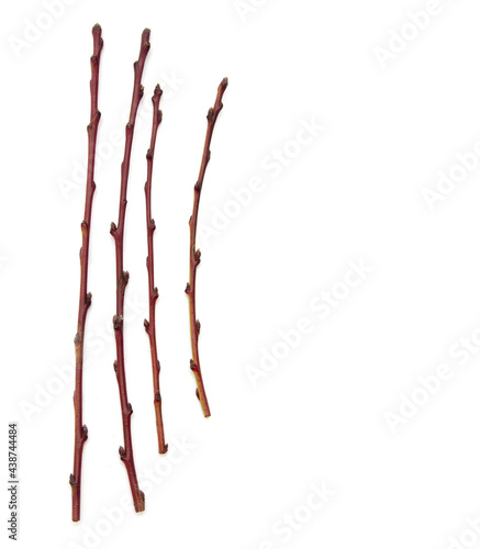 Wooden twigs isolated on a white
