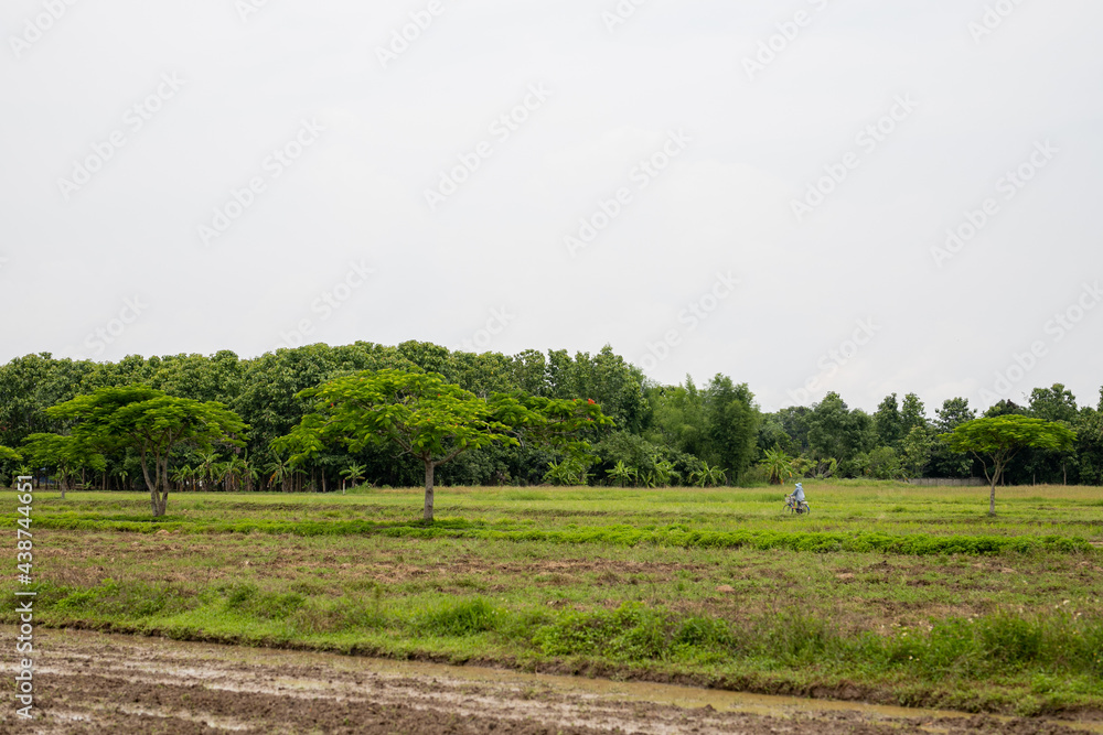 farmer riding bicycle in the field
