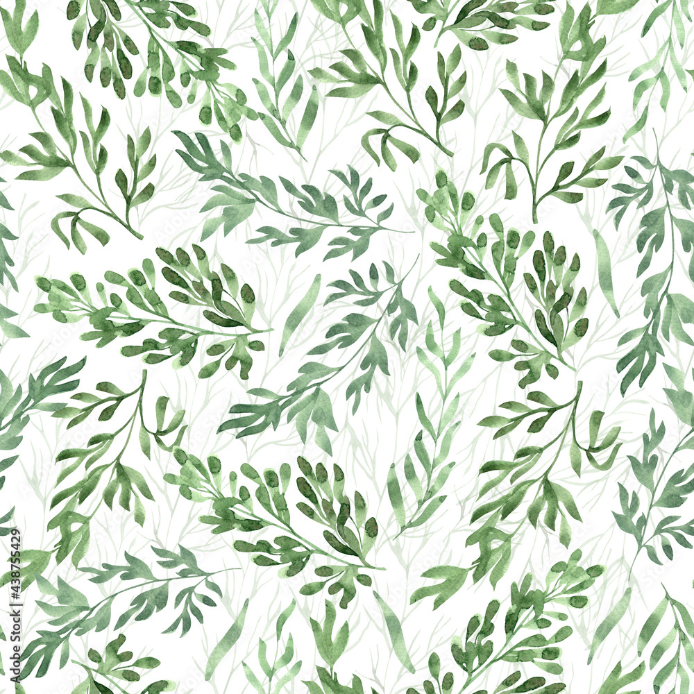 Watercolor seamless pattern  herbs and  leaves. Hand painted illustration on white. Great for fabrics, wrapping papers, wallpapers, covers. Beautiful textile print