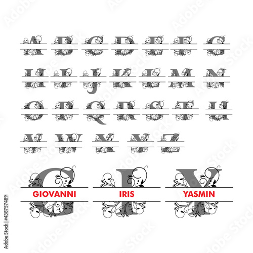 Monogram split letter alphabet with floral illustration