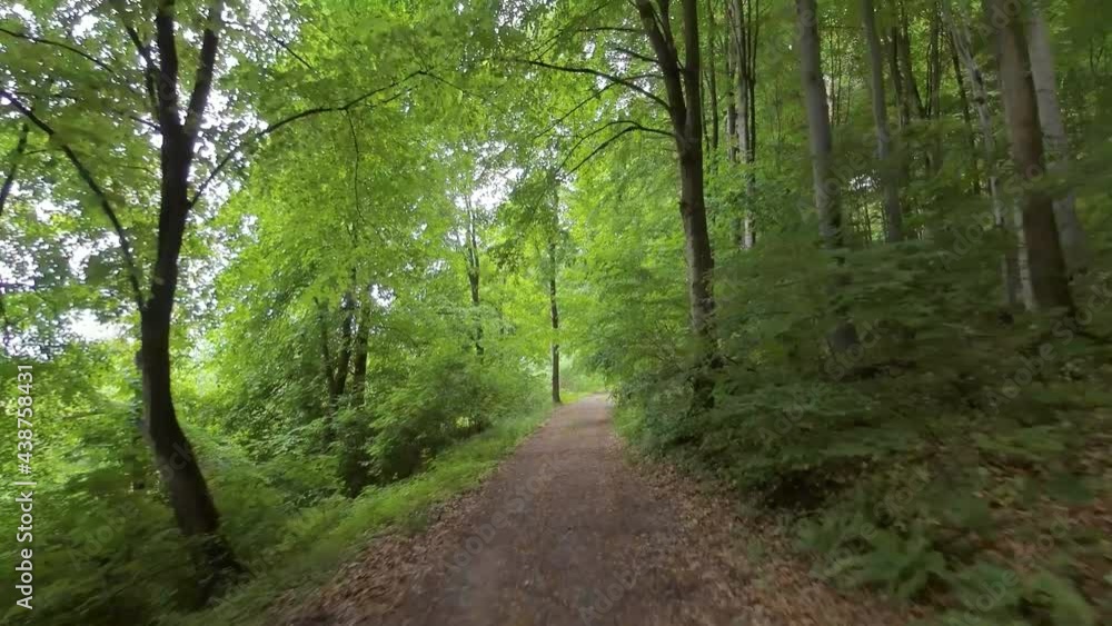 Flying along the path in the summer forest. Filmed on FPV drone. Flying along the path in the summer forest. Filmed on FPV drone.