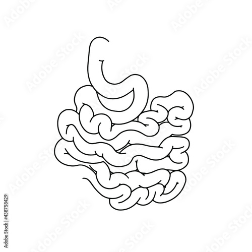 Human small intestinal illustration. Vector, medicine concept. Realistic, outline Intestine icon isolated on white background.