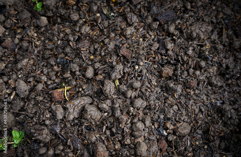 Closeup of soil ready for plant Closeup of soil ready for plant
