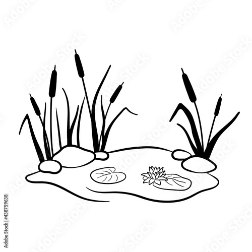 Black silhouette of reeds in swamp or pond with water lily. Vector illustration of wetland is isolated on white background.