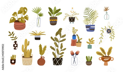 Set of different foliage indoor plants for house and office interior decoration. Green houseplants in pots, baskets, vases, and planters. Colored flat vector illustration isolated on white background