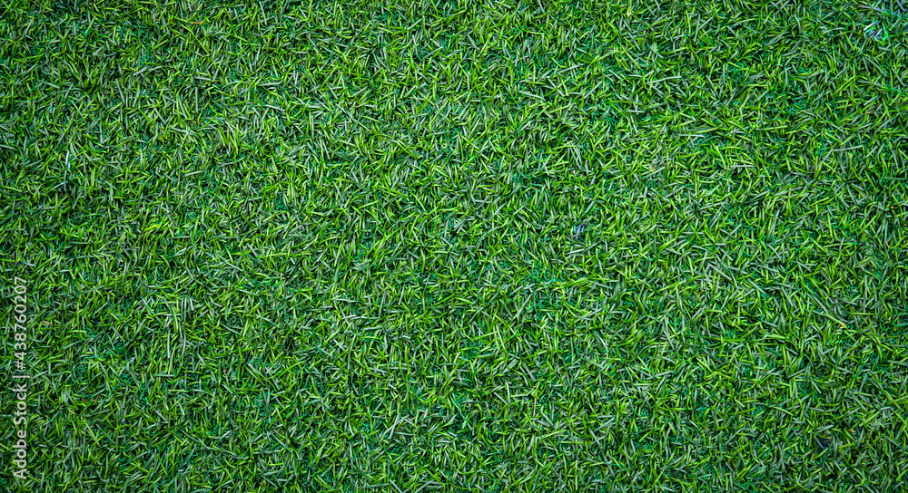 Fototapeta premium green grass background