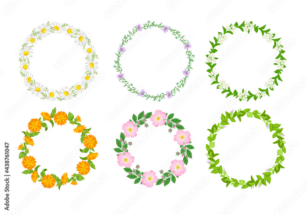 Floral wreaths set. Round frame with calendula, chamomile, stevia, thyme, rosehip and mint. Wild herbs and flowers. Vector illustration of medicinal plants in cartoon flat style. Floral wreaths set. Round frame with calendula, chamomile, stevia, thyme, rosehip and mint. Wild herbs and flowers. Vector illustration of medicinal plants in cartoon flat style.