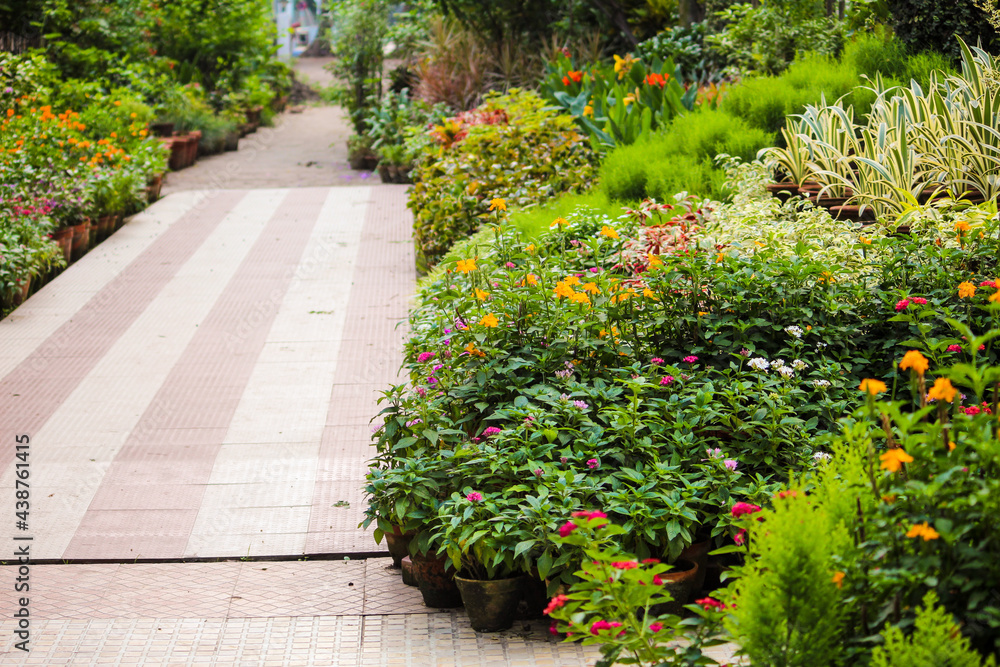Obraz premium flowers in the garden