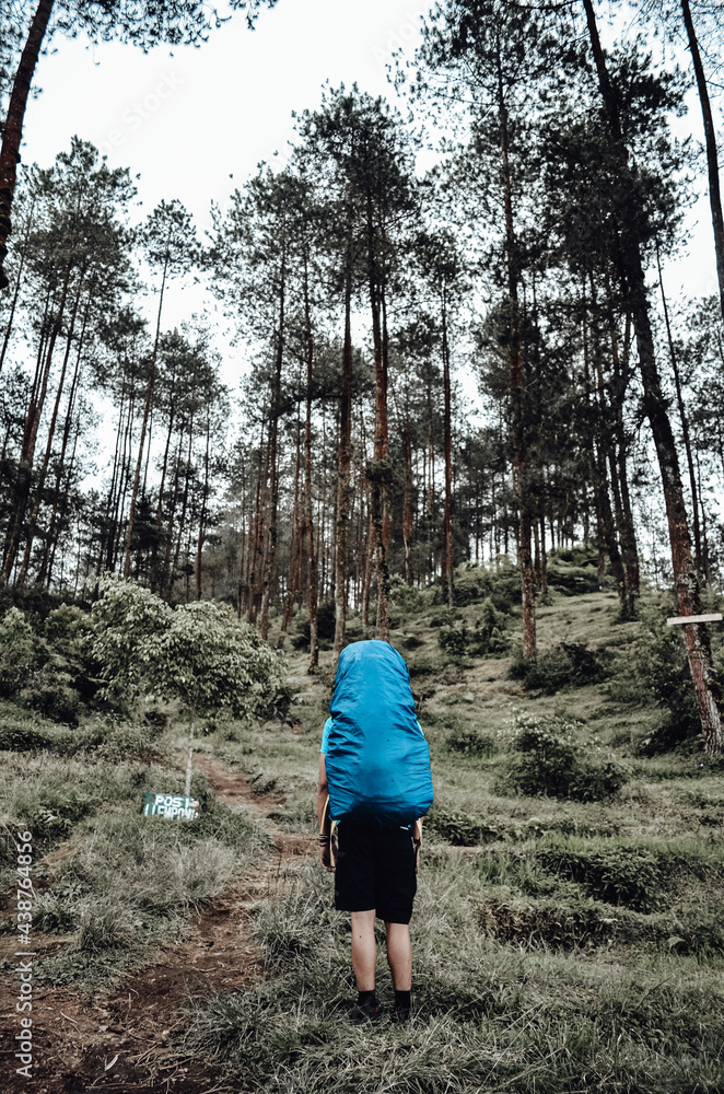 child running through forest