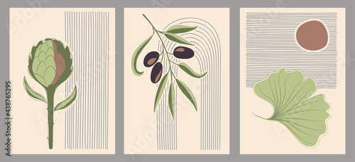 Botanical wall vector set in minimal style. Artistic drawing, abstract plant art design for print, covers, wallpaper, social media stories.