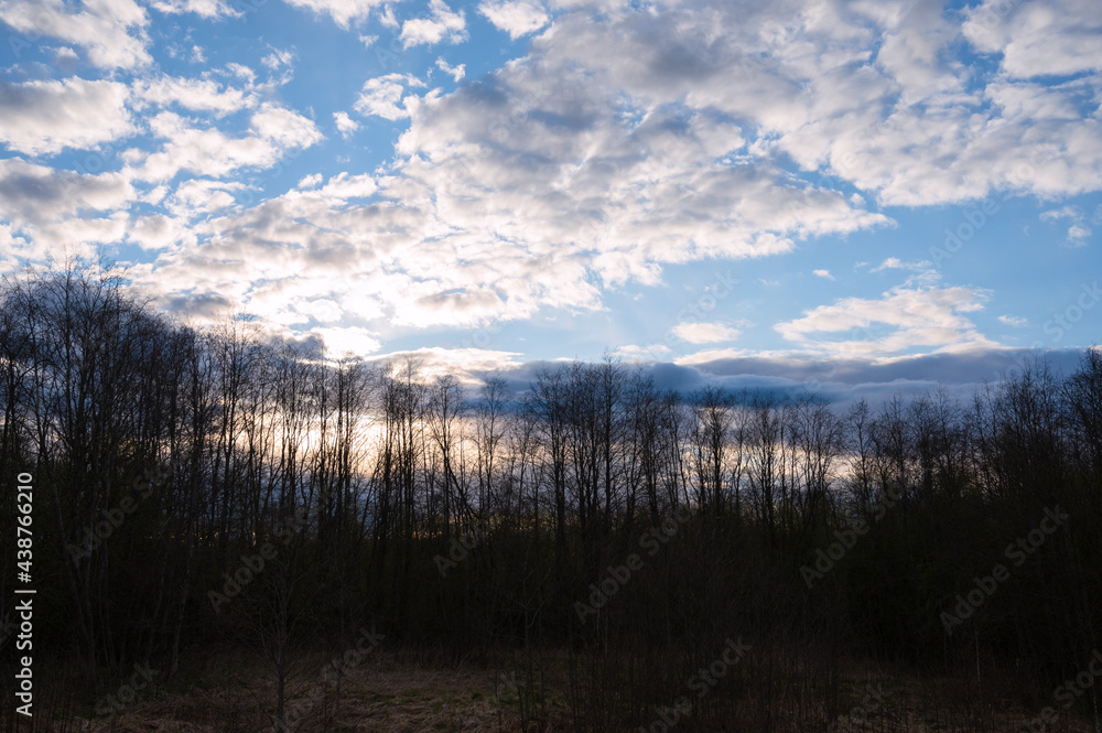 Evening spring blue sky with white clouds. Dark silhouettes of trees and shrubs. Evening landscape at sunset Evening spring blue sky with white clouds. Dark silhouettes of trees and shrubs. Evening landscape at sunset