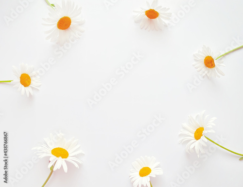 Flowers composition. Frame made of white chamomile flowers on white background. Wedding day, mothers day and womens day concept. Flat lay, top view. © Viktoriia