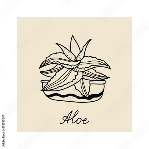  Concept of cozy home and comfort. Hand drawn illustration of plant aloe for posters, cards, t-shirts. Vector illustration