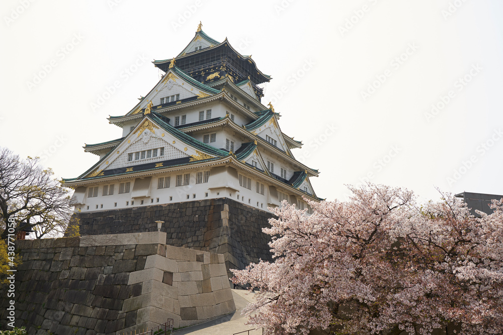 大阪城と桜 大阪城と桜