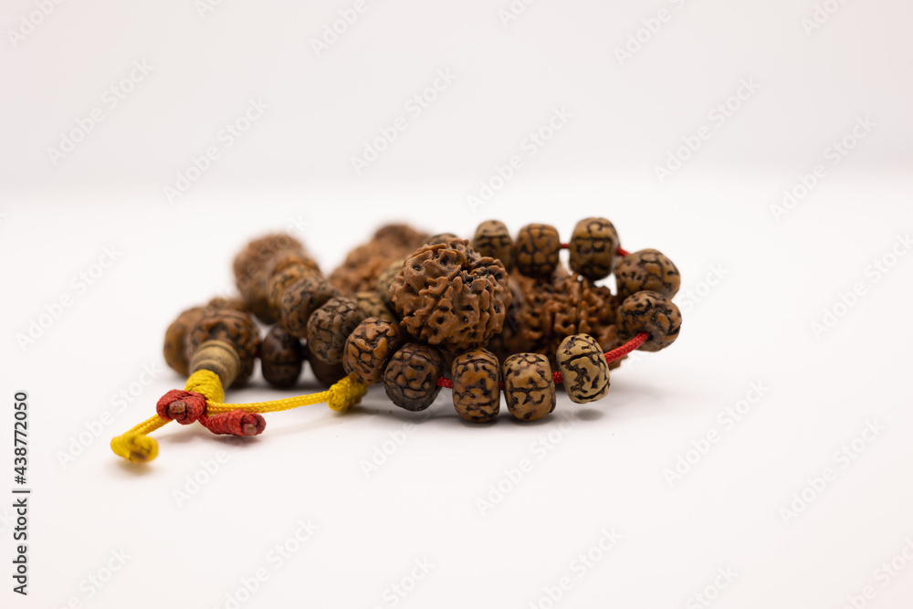 Rudraksha Seed in White Background. Om Namah Sivaya Rudraksha Seed in White Background. Om Namah Sivaya